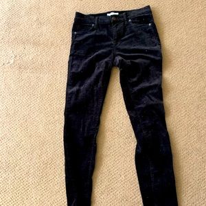 LOFT 00 | 24 velvet jeans